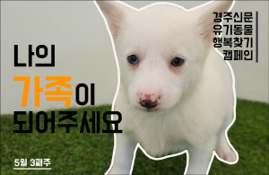 나의 가족이 되어주세요 [공고번호 : 경북-경주시-2023-0449]