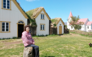 아이슬란드릐 이색적인 핫프레이스 캠핑 여행[3]
