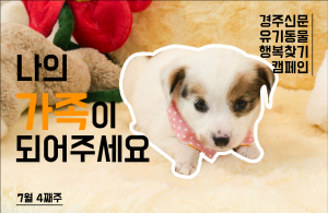 나의 가족이 되어주세요! [공고번호 : 경북-경주시-2023-0747]