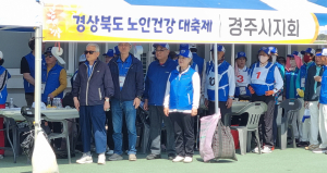 노인회 경주시지회, 노인건강대축제서 그라운드 골프 우승
