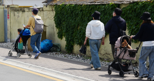 반려동물 친화관광도시, 경주의 새로운 산업될까?