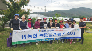 농협 경주시지부·안강농협, 토마토 수확 ‘구슬땀’