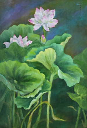 지상갤러리[210] 아침에 피는 연꽃