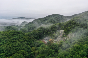 경주 ‘골굴사·코오롱호텔·토함산자연휴양림’ 웰니스 관광지 선정