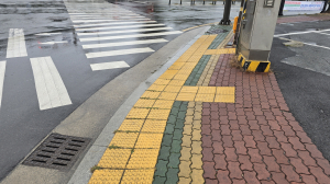 시민 10명중 4명은 이동약자… 무장애도시 경주의 과제