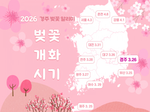 경주시 ‘벚꽃알리미’ 서비스 개시