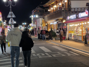 관광 성수기마다 반복되는 ‘인도 주차’ 논란⋯ 경주시 단속 기준 재정비 필요