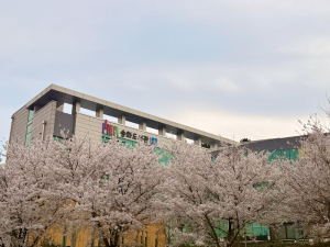 경주 송화도서관, 도서관주간 맞아 인문학 특강·체험행사 운영