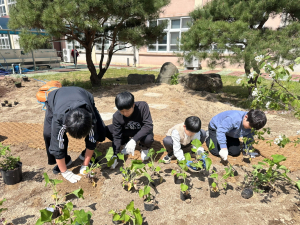 산내중, 기청산식물원과 국가 희귀·특산식물 242본 식재