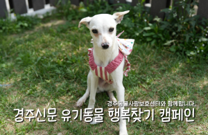 나의 가족이 되어주세요! [공고번호 : 경북-경주-2026-00304]