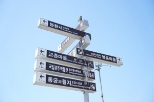 현수막은 치웠지만 끈은 ‘그대로’…경주 곳곳 ‘관리 사각지대’