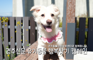 나의 가족이 되어주세요! [공고번호 : 경북-경주-2026-00223]