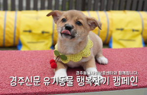 나의 가족이 되어주세요! [공고번호 : 경북-경주-2026-00324]