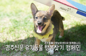 나의 가족이 되어주세요! [공고번호 : 경북-경주-2026-00321]
