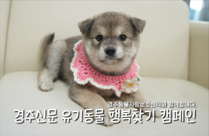 나의 가족이 되어주세요! [공고번호 : 경북-경주-2026-00458]