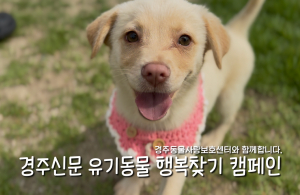나의 가족이 되어주세요! [공고번호 : 경북-경주-2026-00364]