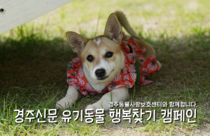 나의 가족이 되어주세요! [공고번호 : 경북-경주-2026-00479]