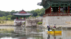 경주시, 동궁과 월지 수질·경관 관리 본격화