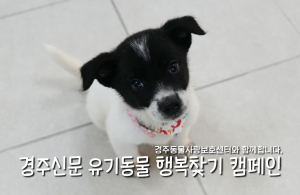 나의 가족이 되어주세요! [공고번호 : 경북-경주-2026-00487]