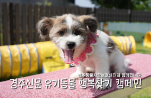 나의 가족이 되어주세요! [공고번호 : 경북-경주-2026-00514]