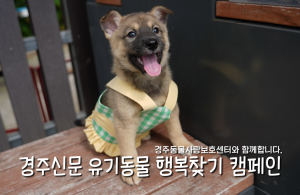 나의 가족이 되어주세요! [공고번호 : 경북-경주-2026-00532]