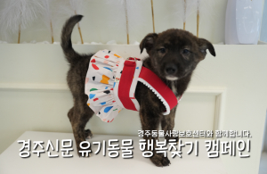 나의 가족이 되어주세요! [공고번호 : 경북-경주-2026-00534]