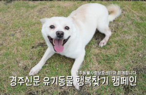 나의 가족이 되어주세요! [공고번호 : 경북-경주-2026-00426]