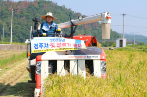 경주서 올해 첫 벼베기 ‘조생종 해담벼’ 수확