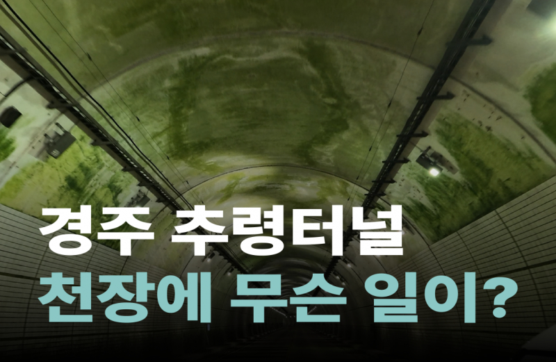 경주 추령터널 천장 뒤덮은 ‘녹색 이끼’… 정확한 원인 규명 필요